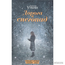 Дорога в снегопад