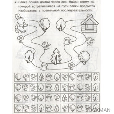 Логика. Лабиринты и схемы. Рабочая тетрадь дошкольника