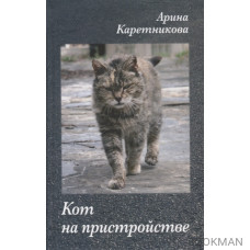 Кот на пристройстве