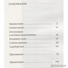 Сыр букв мел: об Аркадии Драгомощенко