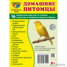 Домашние питомцы. 16 раздаточных карточек со словами на русском и английском языках на обороте