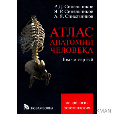 Атлас анатомии человека. Том 4. Неврология. Эстезиология.